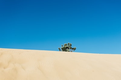 图聚科技